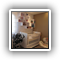 quarto_menina1